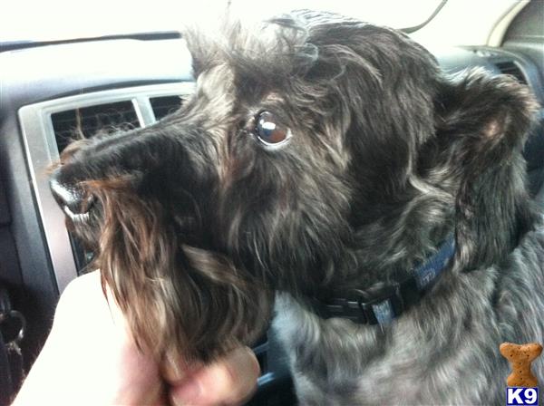jackEdog Picture 2